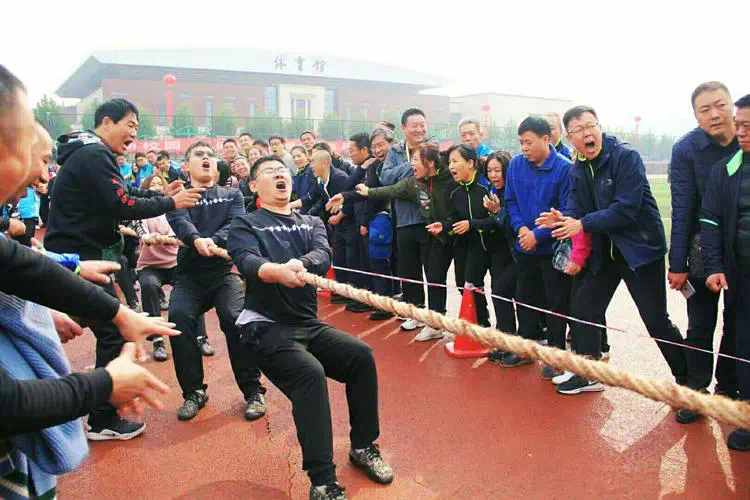 威尔逊网球拍平价防晒测评